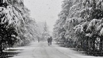 Magical 6 Days 5 Nights Gulmarg, Sonmarg and Pahlgam Vacation Package