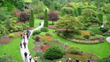 Best 5 Days 4 Nights OOTY with KODAIKANAL Vacation Package