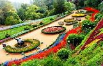 Heart-warming 8 Days Bengaluru Mysore Coorg Ooty Luxury Holiday Package