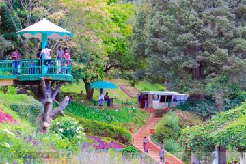 7 Days 6 Nights Ooty Forest Holiday Package