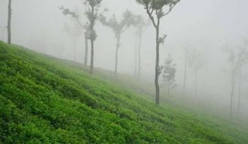 5 Days 4 Nights Coorg with Ooty Honeymoon Holiday Package