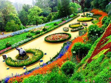 Magical 4 Days Coimbatore to ooty Trip Package