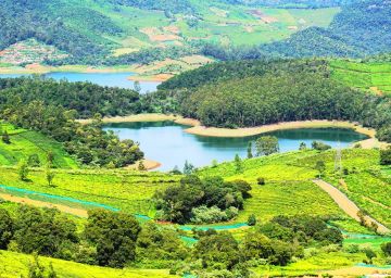 Heart-warming 4 Days 3 Nights Bangalore Wildlife Holiday Package