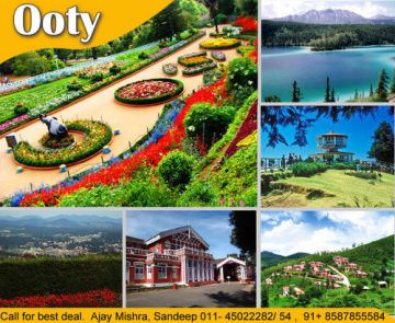 Amazing 2 Days Mudhumalai Nature Vacation Package