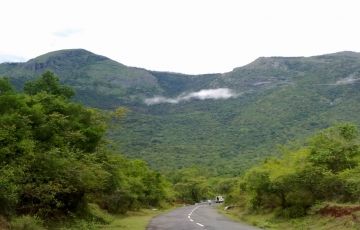 ooty bandipur