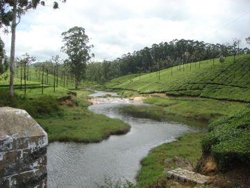 Beautiful 3 Days Delhi to Ooty Family Holiday Package