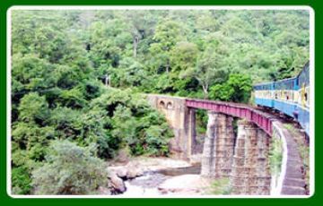 Amazing 6 Days Bangalore Honeymoon Trip Package