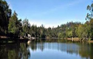 6 Days 5 Nights Ooty Family Vacation Vacation Package