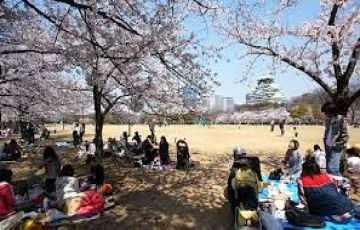 New Energizing Central Japan A 20 Pax & Above