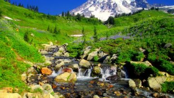 Memorable PRATAPGADH Tour Package for 4 Days 3 Nights from MAHABALESHWAR