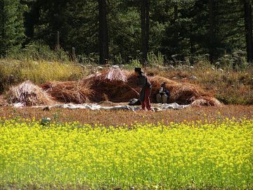 Magical 6 Days Shimla Honeymoon Vacation Package