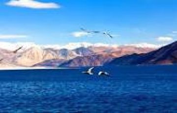 6 Days 5 Nights Leh Wildlife Tour Package