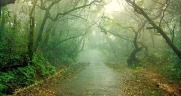 Pleasurable 5 Days Panchgani Beach Tour Package