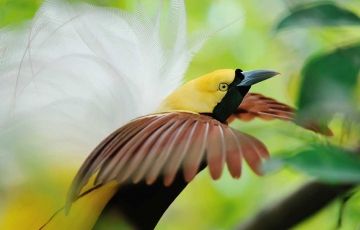 Magical 8 Days 7 Nights Pangot, Saattal, Corbett with Kathgodam Trip Package