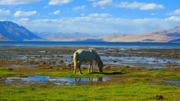 Family Getaway LEH LADAKH Friends Tour Package for 9 Days from DELHI