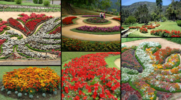 Family Getaway 6 Days Kandy Hill Stations Trip Package