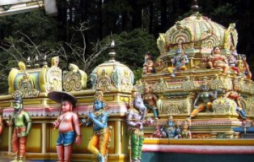 Family Getaway 6 Days Kandy Hill Stations Trip Package