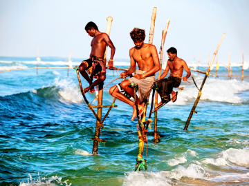 Family Getaway 6 Days Kandy Hill Stations Trip Package