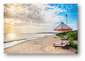 Family Getaway 6 Days Kandy Hill Stations Trip Package