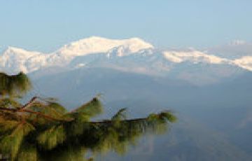 7 Days 6 Nights EX-BAGDOGRANJP to Pelling Vacation Package