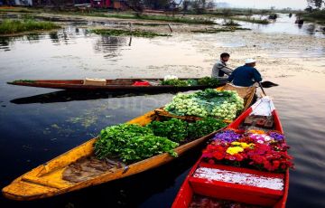 Amazing 5 Days 4 Nights Shalimar Bagh Vacation Package