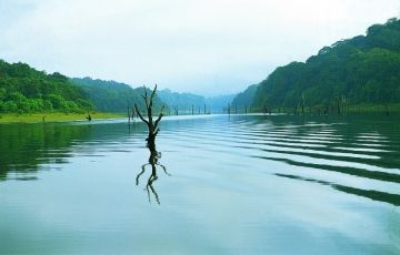 Munnar, Thekkady and Alleppey Tour Package from Cochin