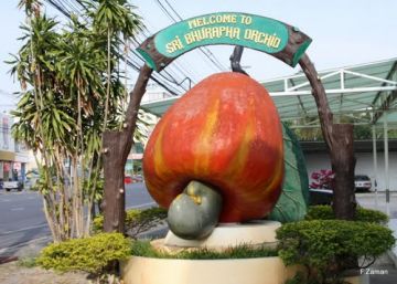 7 Days 6 Nights Krabi Water Sport Vacation Package