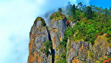 Heart-warming 3 Days 2 Nights Kodaikanal Park Trip Package