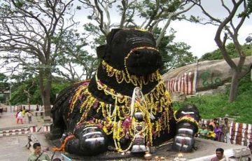 Pleasurable 6 Days 5 Nights Bangalore, mysore with coorg Tour Package