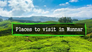 Experience 3 Days Ernakulam to Munnar Holiday Package
