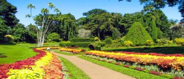 SRILANKA TOUR 5NIGHTS/6DAYS