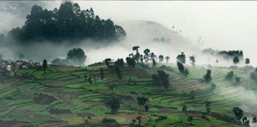 Beautiful 7 Days Bangalore, Karnataka, India to Kodaikanal Holiday Package
