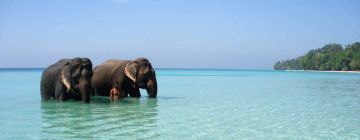 2 Days 1 Night Delhi to Neil Water Activities Vacation Package