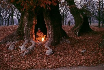 5 Days Srinagar, Gulmarg with Pahalgam Vacation Package