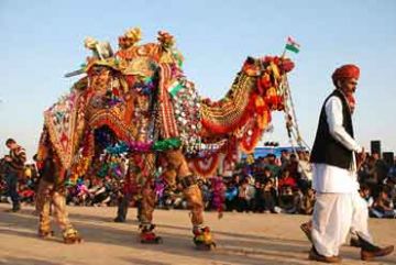 Heart-warming 7 Days Jaipur to Mount Abu Culture and Heritage Trip Package