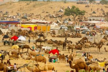 5 Days Jaipur to Mount Abu Tour Package