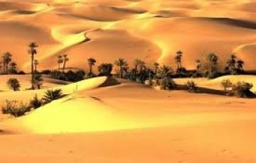 Beautiful 6 Days 5 Nights Jodhpur Forest Tour Package