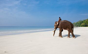 Magical 4 Days 3 Nights Andaman and Nicobar Islands Friends Trip Package