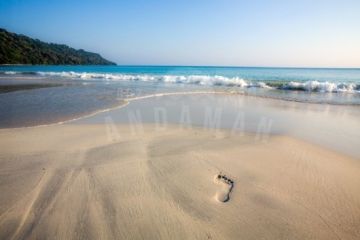 Amazing 6 Days 5 Nights Andaman and Nicobar Islands Beach Tour Package