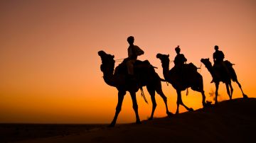 Experience 7 Days Jaisalmer Honeymoon Vacation Package