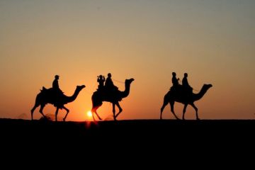 Ecstatic 2 Days 1 Night Ajmer and Pushkar Tour Package