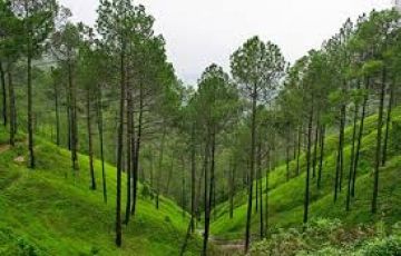Experience 4 Days 3 Nights Ranikhet with Corbett Trip Package