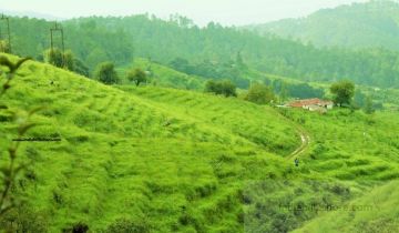 Amazing 4 Days NAINITAL, RANIKHET and ALMORA Vacation Package