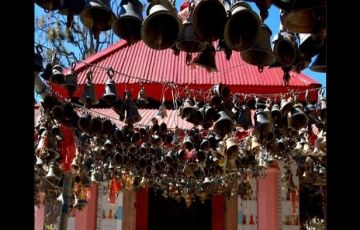 Beautiful 8 Days 7 Nights Binsar Offbeat Vacation Package