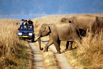 13 Days 12 Nights Jodhpur Walking Tour Package