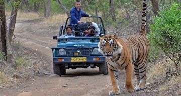 Heritage Tour Tour Package for 2 Days 1 Night from Jaipur