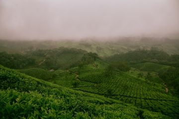 BANGALORE - MYSORE - COORG - OOTY - BANGALORE BANGALORE - MYSORE - COORG - OOTY - BANGALORE
