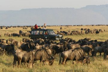 6 Days 5 Nights Nairobi, Amboseli, Nakuru and Maasai Mara Wildlife Vacation Package