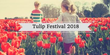 Magical 4 Days 3 Nights Tulip Garden Trip Package