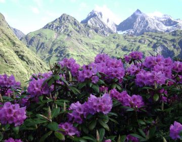 Memorable 7 Days Haa Valley Offbeat Holiday Package